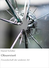 Observiert - Daniel Schiller - E-Book