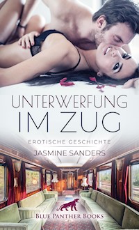 Unterwerfung im Zug | Erotische Geschichte - Jasmine Sanders - E-Book