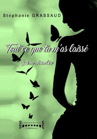 Tout ce que tu m'as laissé - Stephanie Grassaud - E-Book