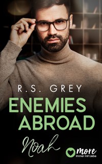 Enemies abroad - R.S. Grey - E-Book
