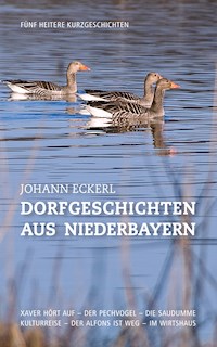 Dorfgeschichten aus Niederbayern - Johann Eckerl - E-Book