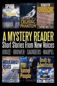 A Mystery Reader - C. C. Brower - E-Book