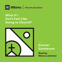 What If I Don't Feel Like Going to Church? - David Gundersen - Hörbuch