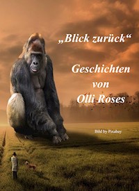 Blick zurück - Olli Roses - E-Book