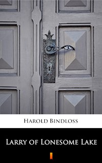 Larry of Lonesome Lake - Harold Bindloss - E-Book
