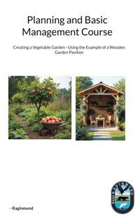 Planning and Basic Management Course - Raginmund - E-Book