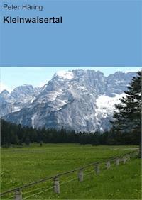 Kleinwalsertal - Peter Häring - E-Book
