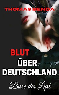 Blut über Deutschland 3 - Thomas Benda - E-Book