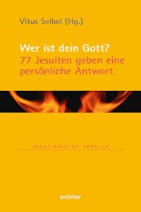 Wer ist dein Gott? - Vitus Seibel - E-Book