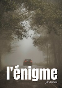 L'énigme - Jules Lermina - E-Book
