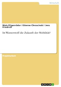 Ist Wasserstoff die Zukunft der Mobilität? - Mats Pilgenröder - E-Book