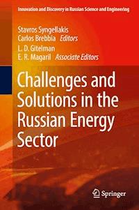 Challenges and Solutions in the Russian Energy Sector - - E-Book