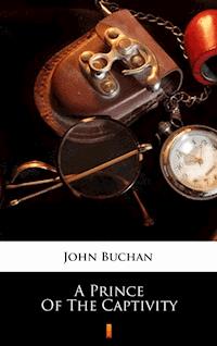 A Prince of the Captivity - John Buchan - E-Book