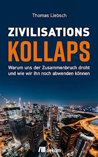 Zivilisationskollaps - Thomas Liebsch - E-Book