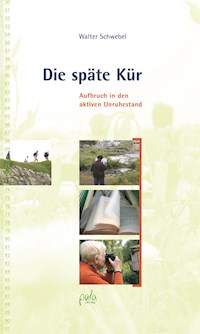 Die späte Kür - Walter Schwebel - E-Book
