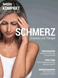 Spektrum Kompakt - Schmerz - - E-Book