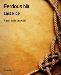 Last Ride - Ferdous Nir - E-Book
