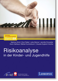 Risikoanalyse in der Kinder- und Jugendhilfe - Martina Ulrich - E-Book