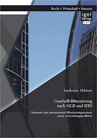 Goodwill-Bilanzierung nach HGB und IFRS: Nationale und internationale Bilanzierungsnormen sowie Anwendungsprobleme - Andreas Hütter - E-Book
