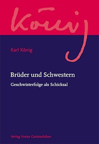 Brüder und Schwestern - Karl König - E-Book