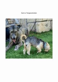 Karin's Tiergeschichten - Karin Pröls - E-Book