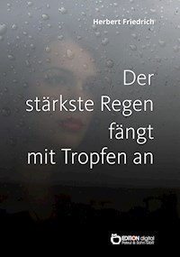 Der stärkste Regen fängt mit Tropfen an - Herbert Friedrich - E-Book