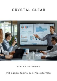 Crystal Clear - Niklas Steinweg - E-Book