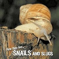 How they live... Snails and Slugs - David Withrington - E-Book