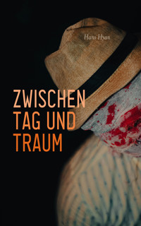 Zwischen Tag und Traum - Hans Hyan - E-Book
