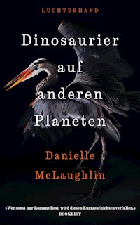 Dinosaurier auf anderen Planeten - Danielle McLaughlin - E-Book