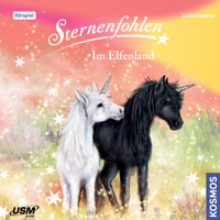 Sternenfohlen, Teil 17: Im Elfenland - Linda Chapmann - Hörbuch