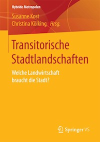 Transitorische Stadtlandschaften -  - E-Book