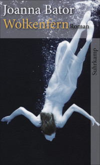 Wolkenfern - Joanna Bator - E-Book