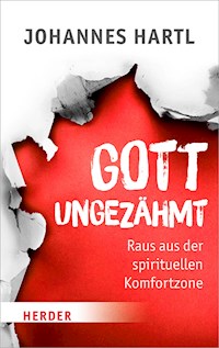 Gott ungezähmt - Johannes Hartl - E-Book