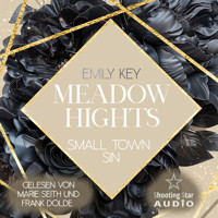 Meadow Hights: Small Town Sin - New York Gentlemen, Band 11 (ungekürzt) - Emily Key - Hörbuch
