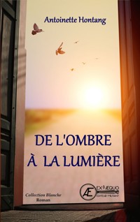 De l'ombre à la lumière - Antoinette Hontang - E-Book
