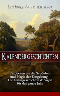 Kalendergeschichten - Ludwig Anzengruber - E-Book