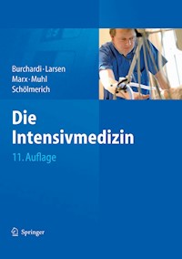 Die Intensivmedizin -  - E-Book