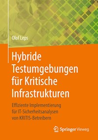 Hybride Testumgebungen für Kritische Infrastrukturen - Olof Leps - E-Book
