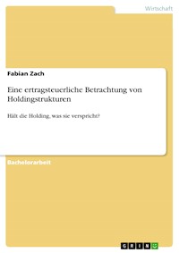 Eine ertragsteuerliche Betrachtung von Holdingstrukturen - Fabian Zach - E-Book