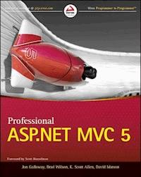 Professional ASP.NET MVC 5 - Jon Galloway - E-Book