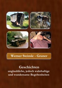 Geschichten unglaubliche, jedoch wahrhaftige und wundersame Begebenheiten - Werner Steimle-Gruner - E-Book
