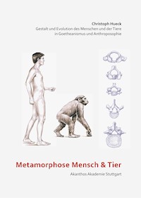 Metamorphose Mensch und Tier - Christoph Hueck - E-Book
