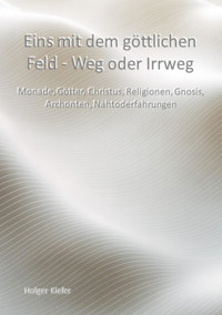 Eins mit dem göttlichen Feld - Weg oder Irrweg - Holger Kiefer - E-Book