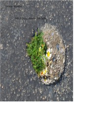 Mit Haiku durch das Jahr - Antje Steffen - E-Book