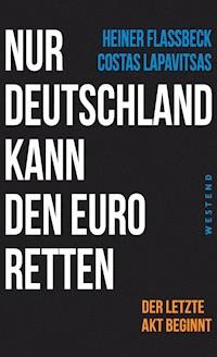 Nur Deutschland kann den Euro retten - Heiner Flassbeck - E-Book