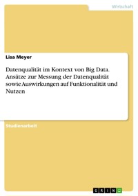 Datenqualität im Kontext von Big Data. Ansätze zur Messung der Datenqualität sowie Auswirkungen auf Funktionalität und Nutzen - Lisa Meyer - E-Book