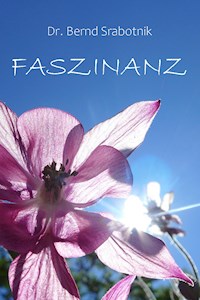 Faszinanz - Bernd Srabotnik - E-Book