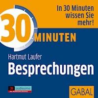 30 Minuten Besprechungen - Hartmut Laufer - Hörbuch