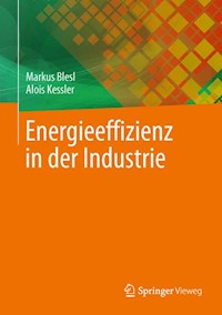 Energieeffizienz in der Industrie - Markus Blesl - E-Book